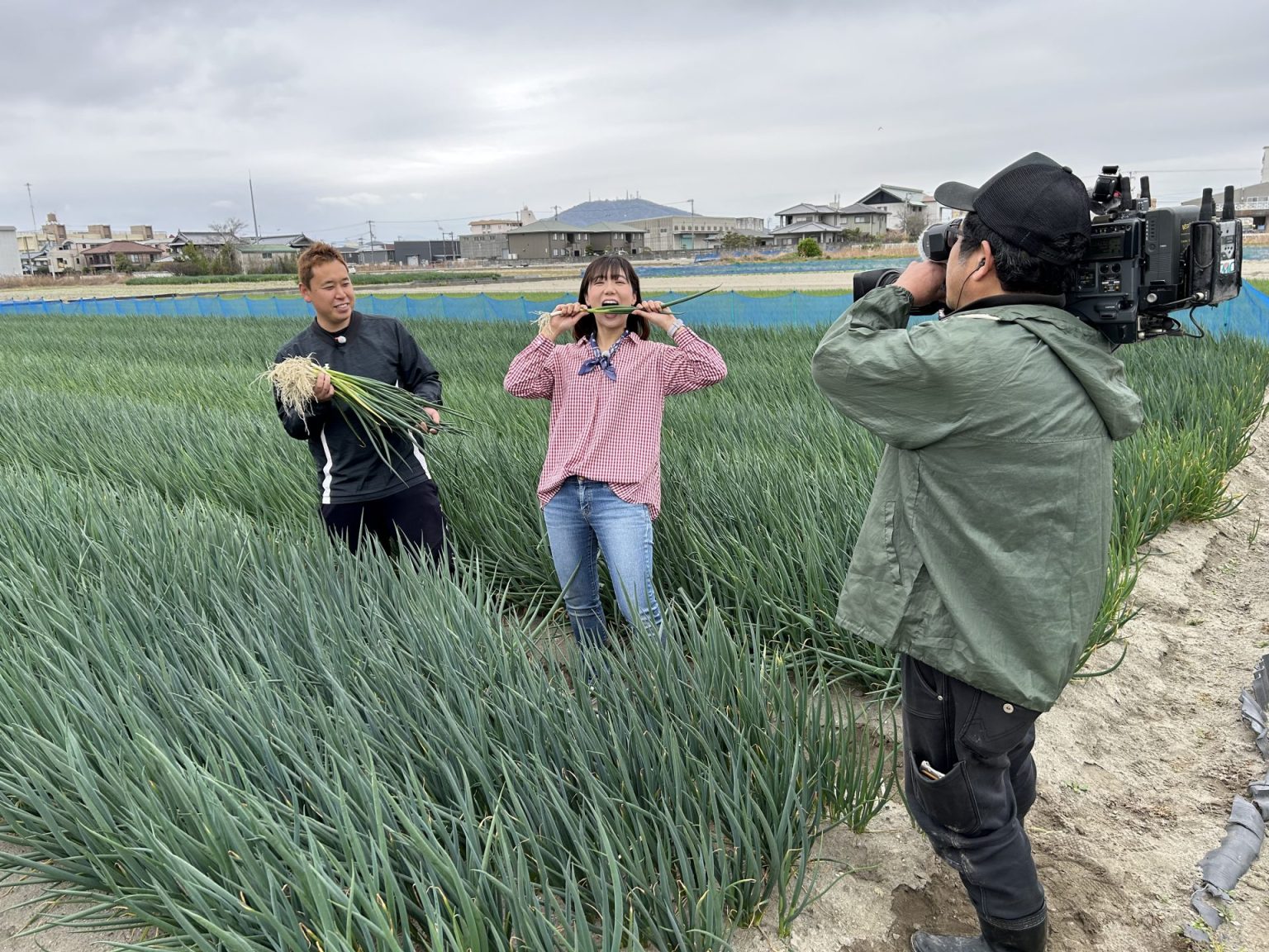 ゴジカル!で渭東ネギをご紹介! 四国・徳島・愛媛のタレント・司会・映像制作ならoffice SERENO(セレーノ)へ